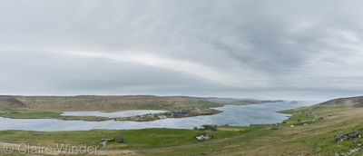 Shetland 03